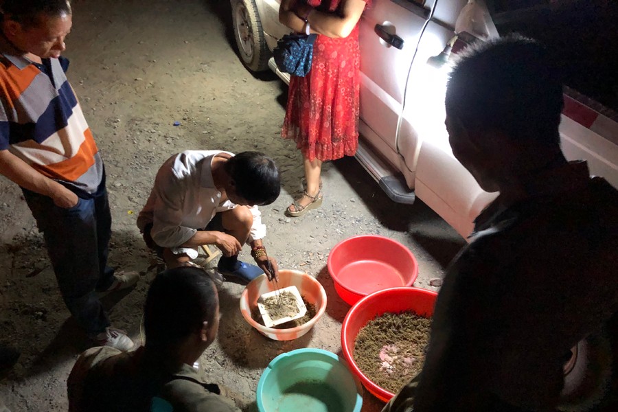 疯狂蝎子,最大蝎子到底有多可怕