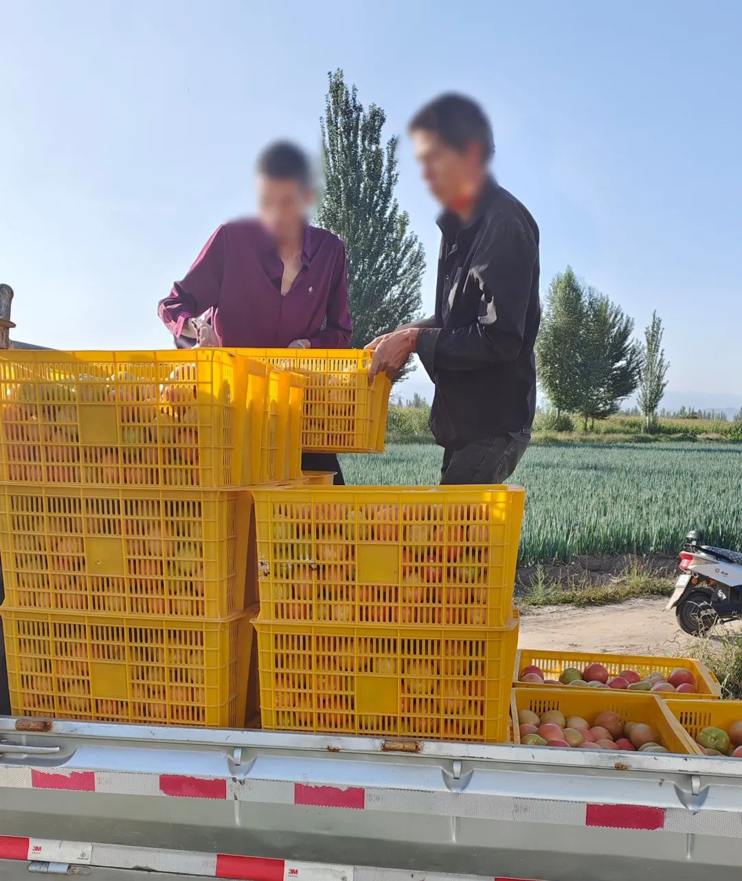 瀹佸崰蹇犳氮瀛愬洖澶翠粖鎴愯嚧瀵屽甫澶翠汉,鏋椾害鍕ゆ氮瀛愬洖澶村涓婅劚璐嚧瀵岃矾