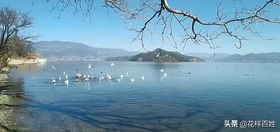 女性提前10年退休,提前退休去环游中国