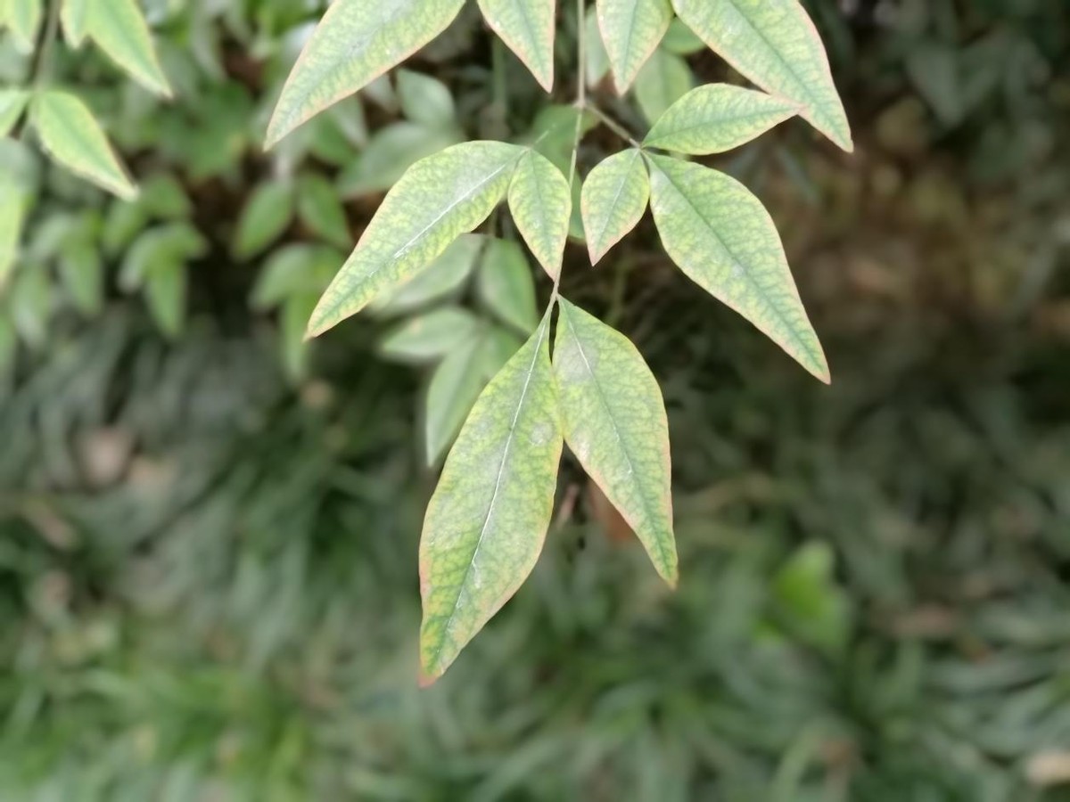 中国移动nzones7评测,中国移动nzones7游戏测试