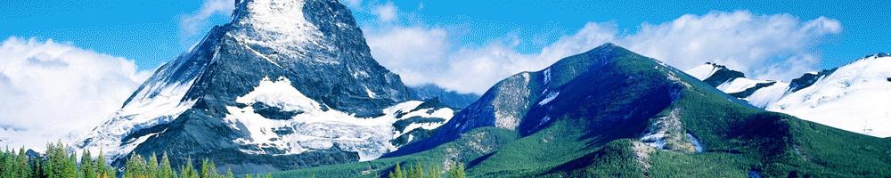 日本唯一合法赌博,日本合法赌博吗