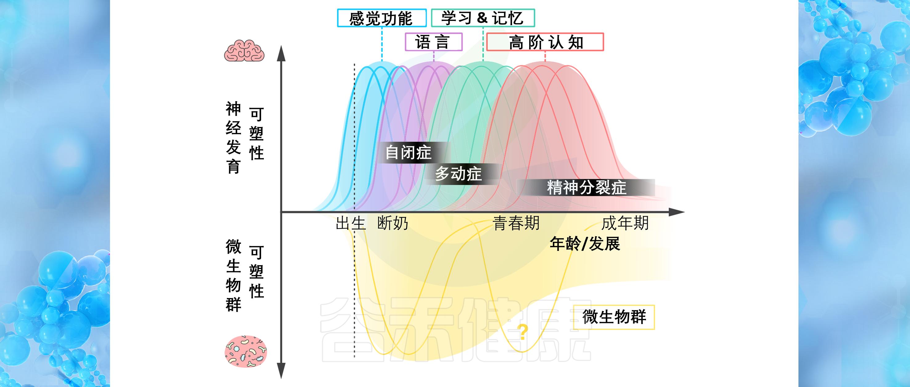 一文涵盖:宝宝大脑发育差异背后肠道菌群的故事