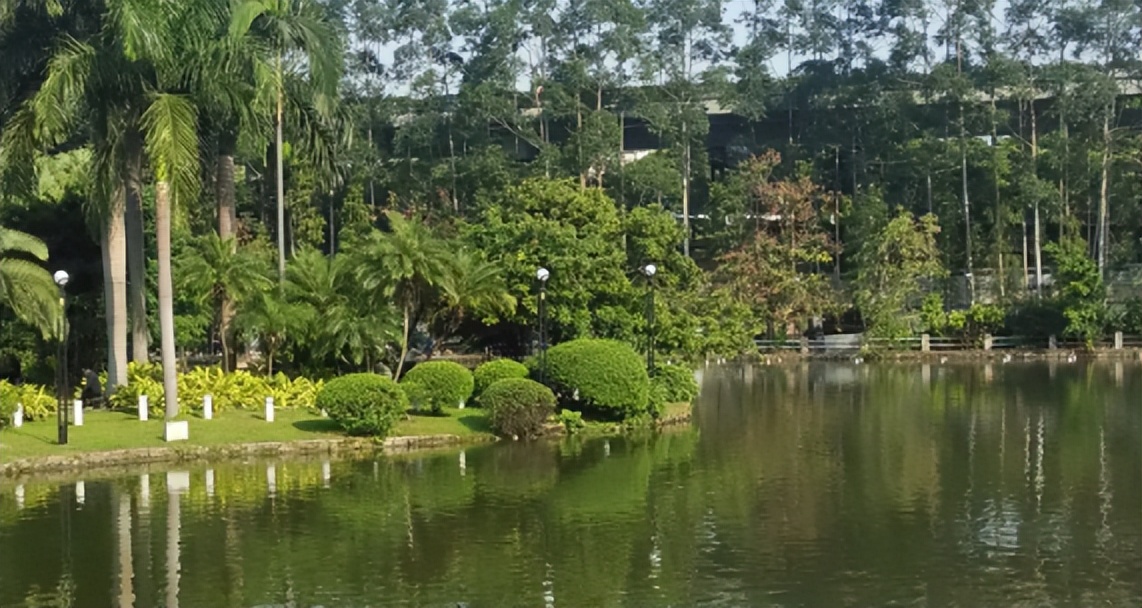 越秀公园的自然人文,广州越秀区的公园有哪些