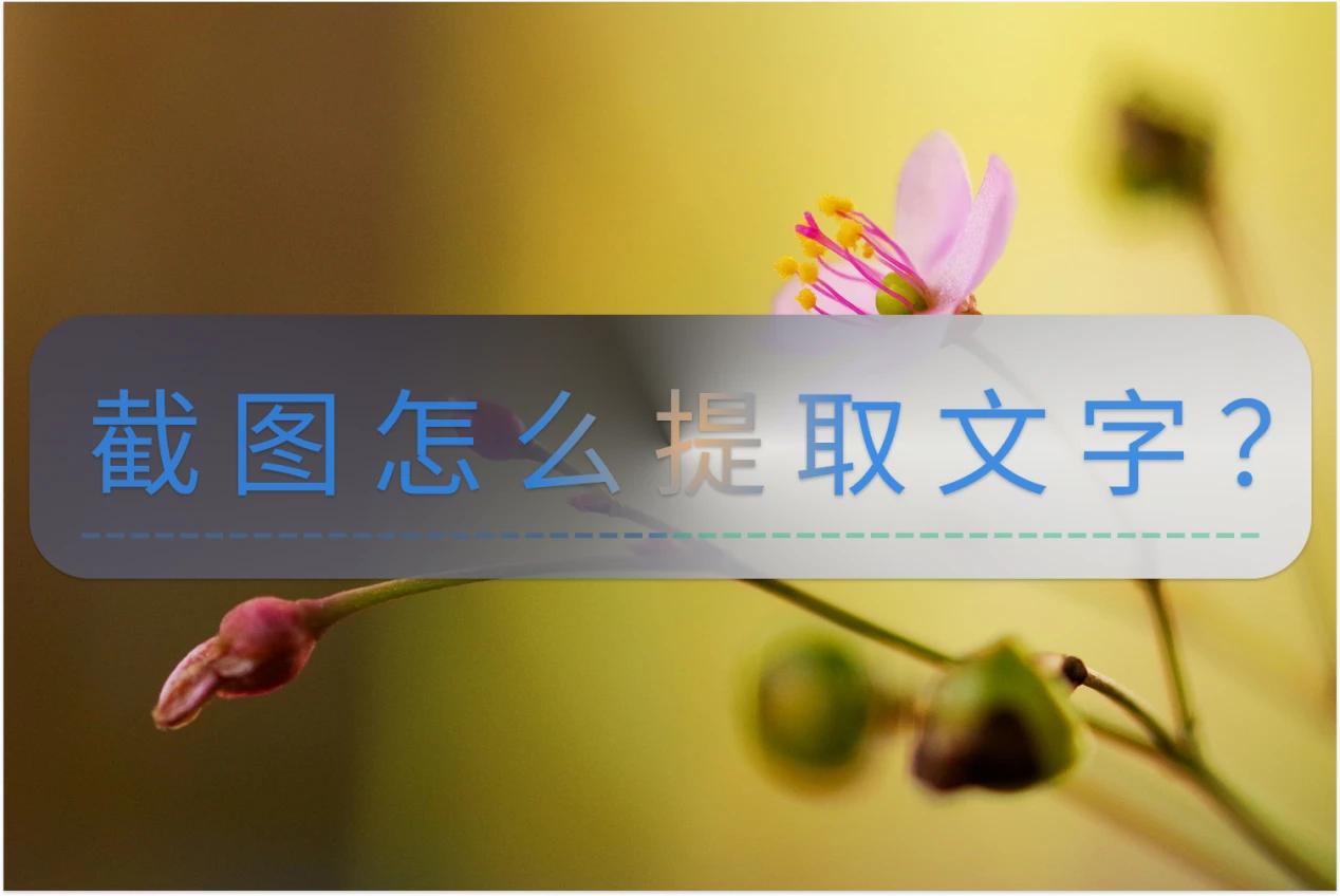 截图怎么提取文字手机,截图怎么提取文字