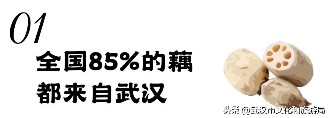 正宗九孔粉藕,武汉人大口喝藕汤的季节来了