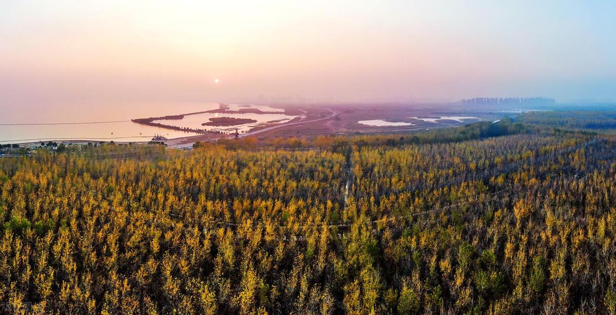 合肥附近十大景点排名,合肥十大最好玩的景点是什么