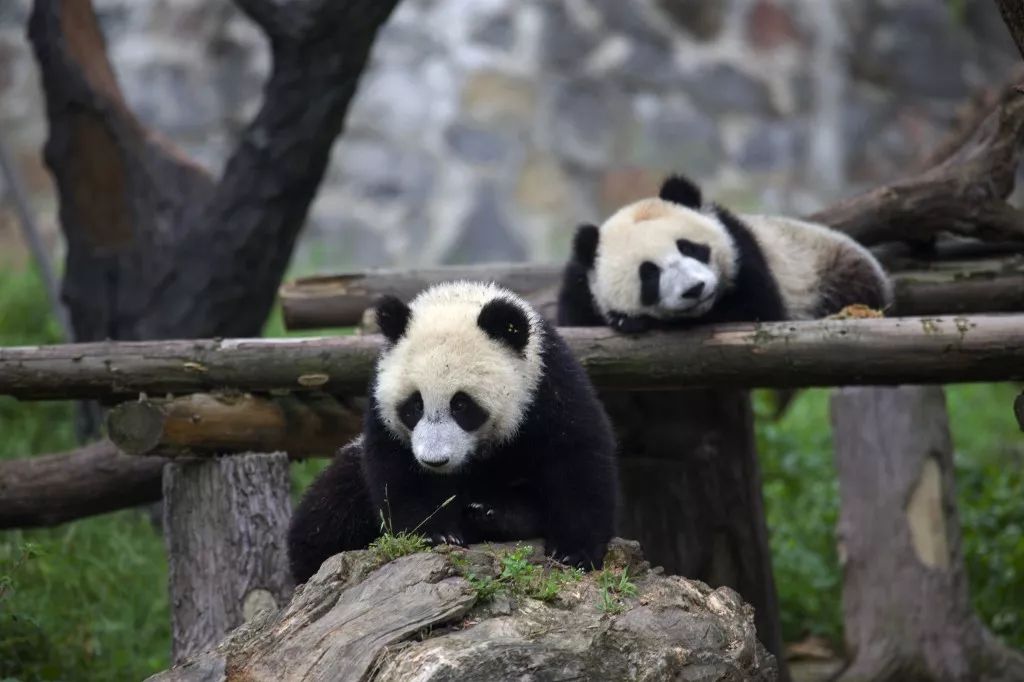 水灵妹旅行攻略,水灵妹旅游景点