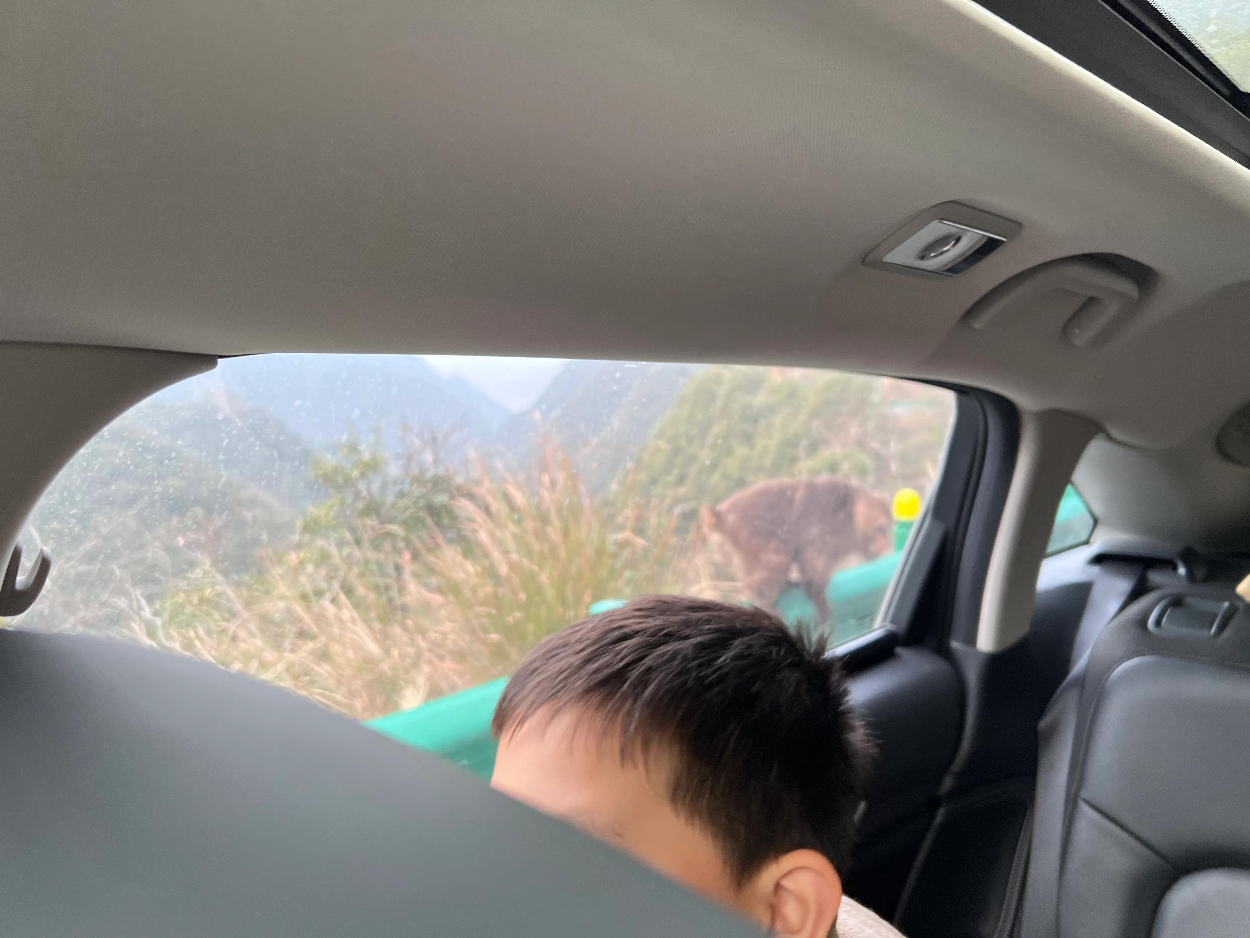 金华出发皖南318川藏线二日游,皖南川藏线318几月份去比较好