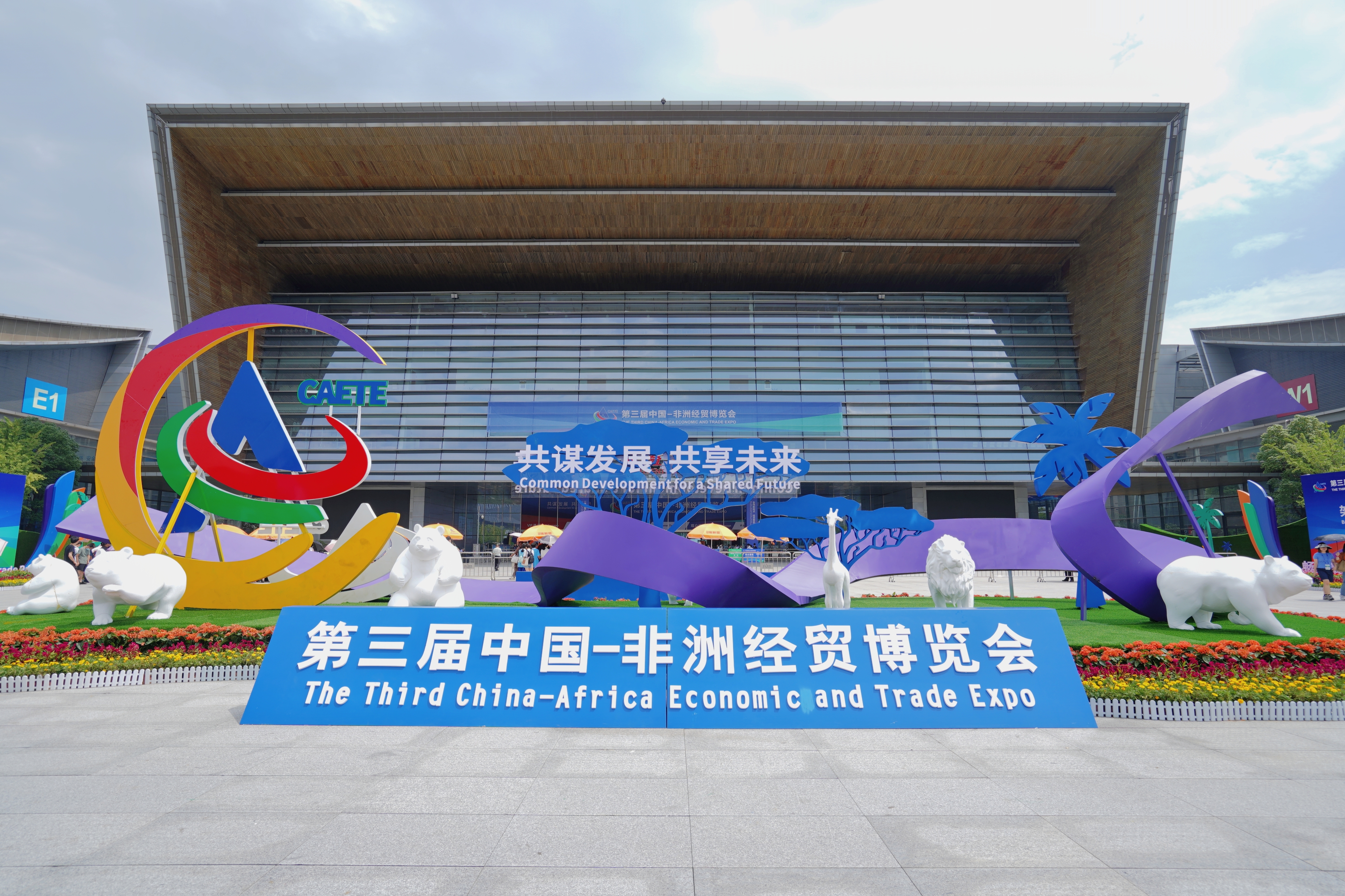 共谋发展共创未来座谈会,共谋合作发展携手共创未来