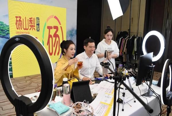 “消失”480天后2206万杭州买地，薇娅停播后商业版图仍在扩张