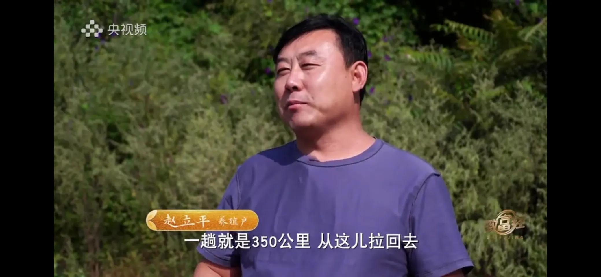 小伙子养猪5年后挣钱5多亿,农村小伙养猪赚过亿