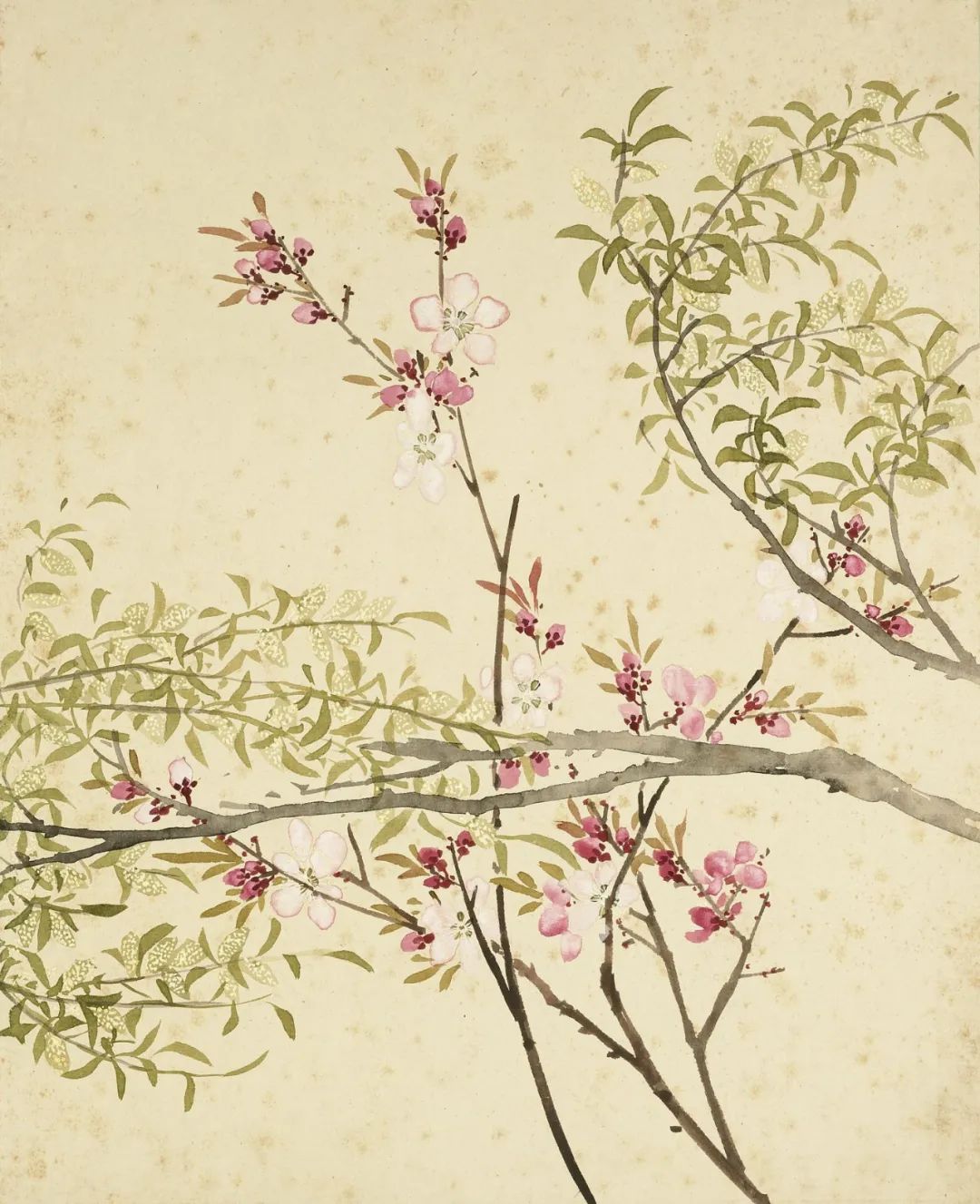 慕容看世界的视频,慕容看世界所有视频