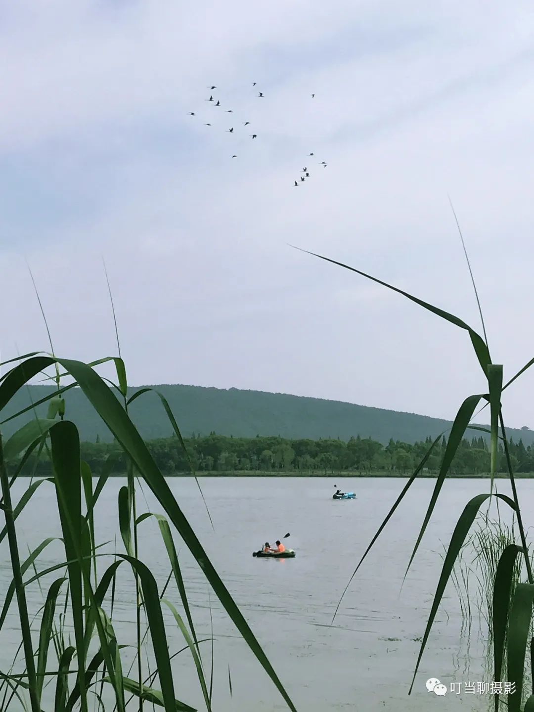 iphone7拍照较其他手机的优势,iphone7与其他手机对比图