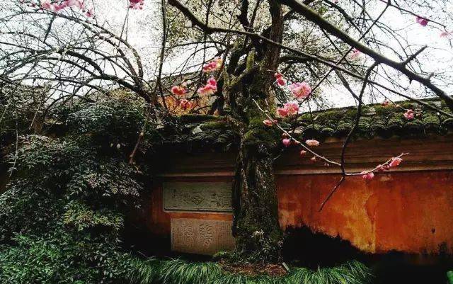 如何识别一条手串珠的好坏,怎么样识手串珠的好坏