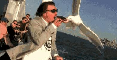 喂过一次大连海鸥，人类就要为自己的弱小羞愧