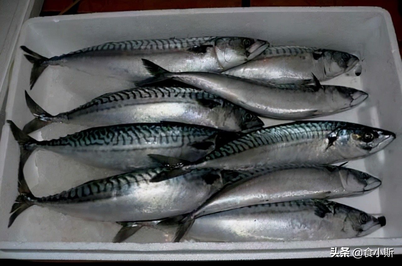 两种最好吃的鱼,最好吃的100种鱼图片