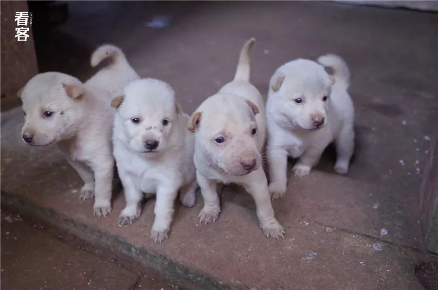 小镇的暑假,小镇少年的假期