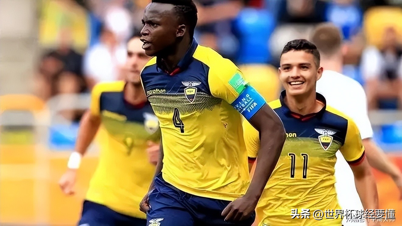 世界杯a组卡塔尔第二轮,世界杯a组赛第一阶段结果