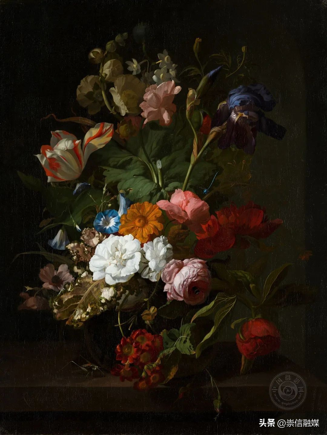 教你十种简单构图拍摄技巧,运用构图技巧拍摄短视频