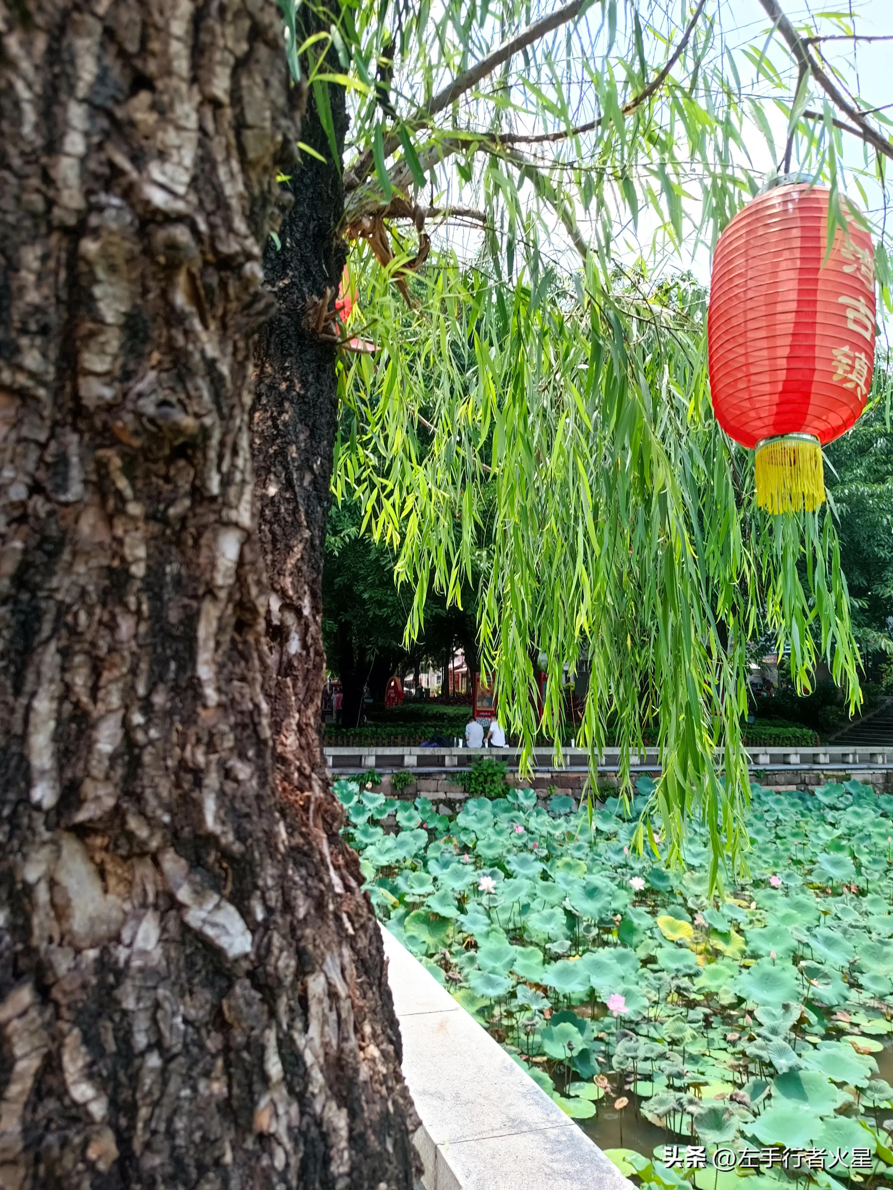 广州旅游攻略沙湾古镇,广州番禺沙湾古镇好玩吗