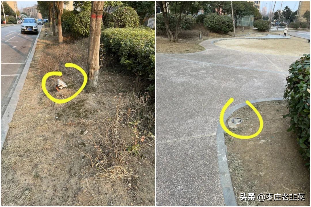 青铜还是王者？东湖片区物业服务调研报告