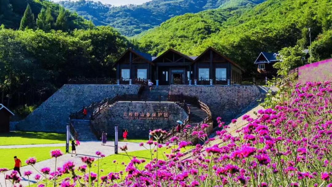 相见恨晚这首歌完整版,原汁原味古色古香的一座小城