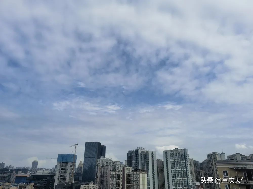 短袖新款来了,重庆气温最高将升至29℃