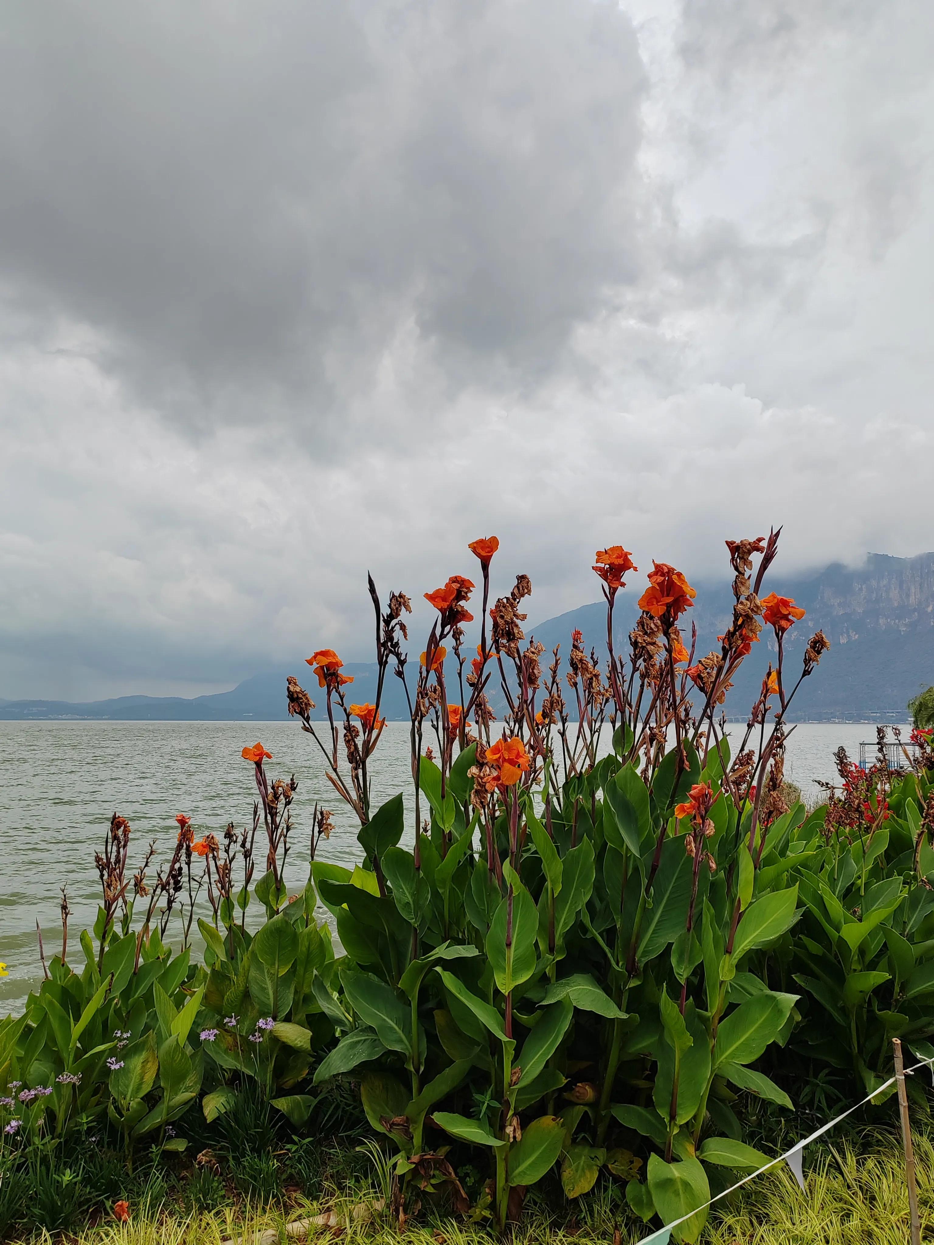 与春城昆明的再次邂逅，让这个盛夏有一抹清凉