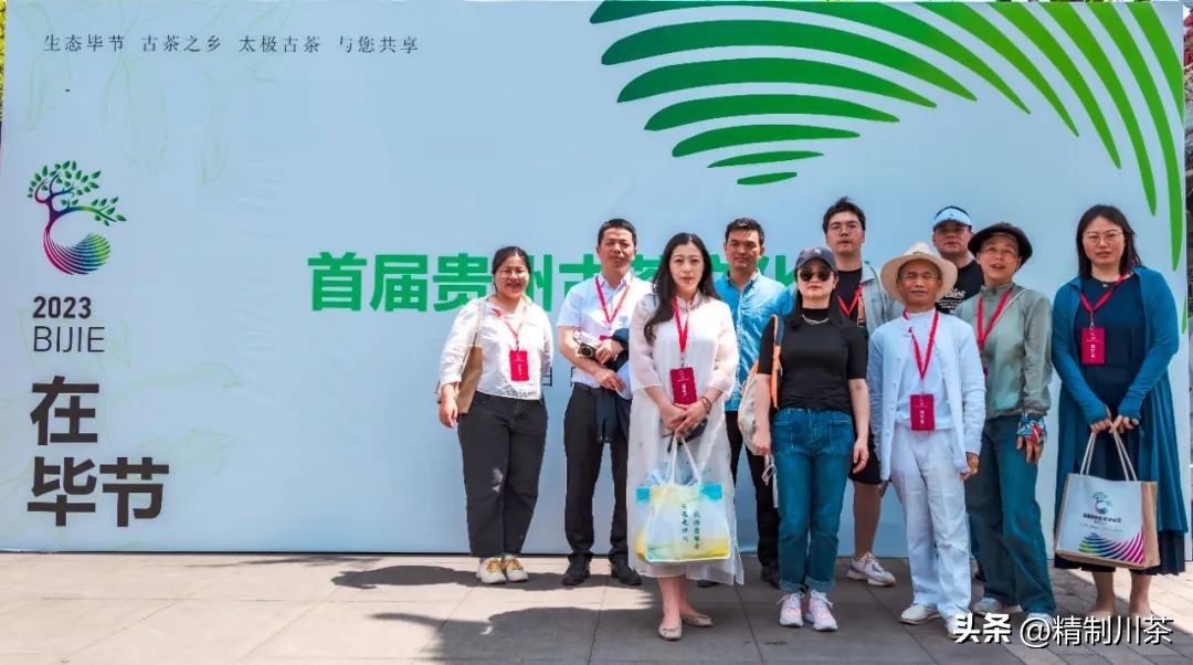 寻茶香赴春约---记四川省茶叶行业协会贵州毕节行