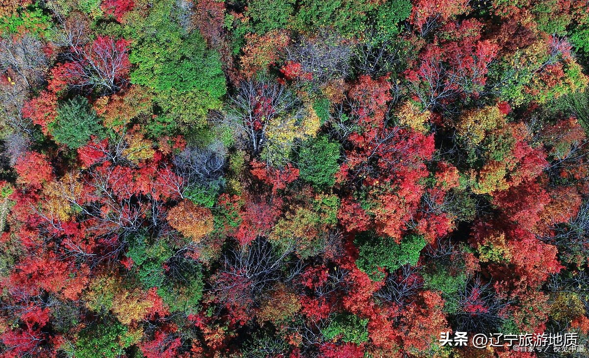 本溪这个村庄被上帝赐给了画家，藏着绝美景色，过去却是个土匪窝