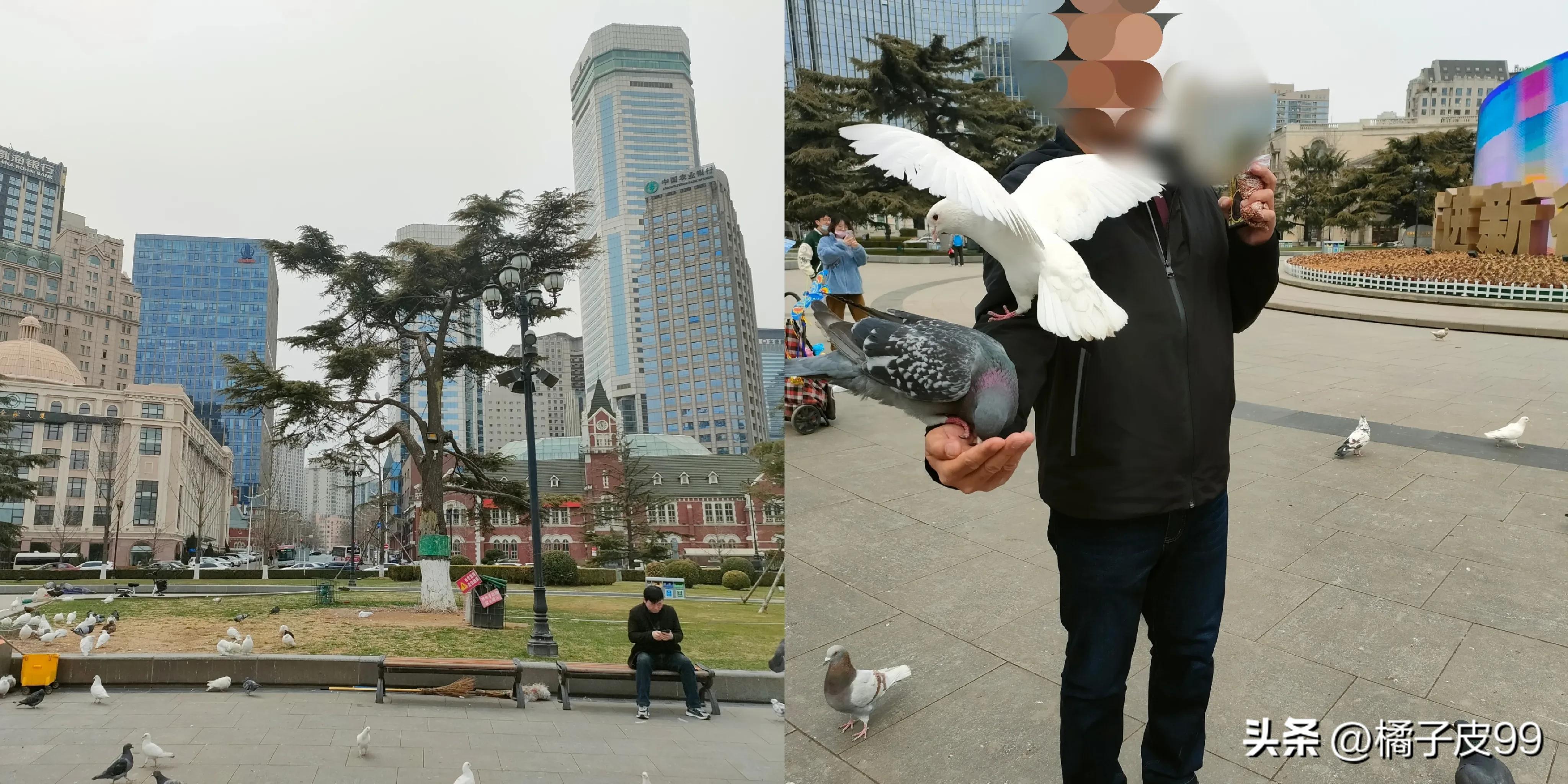 大连是个迷人的城市,大连有意思的城市