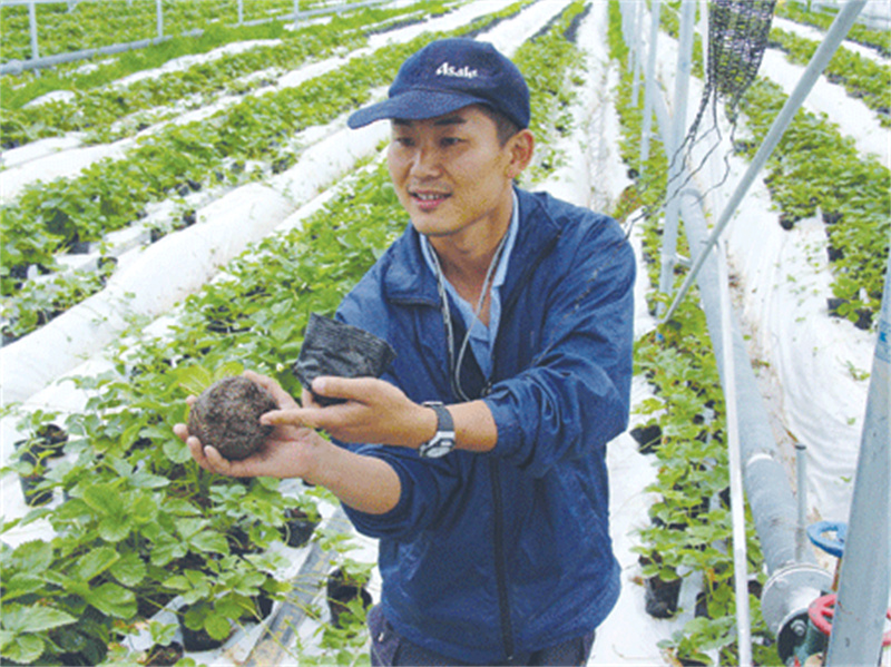 2006年，政府牵头组织租给日方千余亩地，日本人却闲置多年，为何