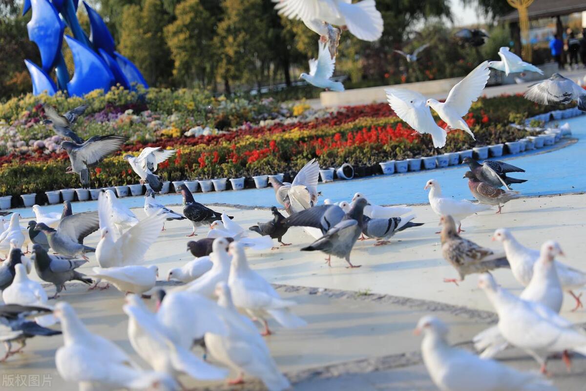 秦皇岛北戴河旅游景点大全,秦皇岛旅游攻略景点推荐