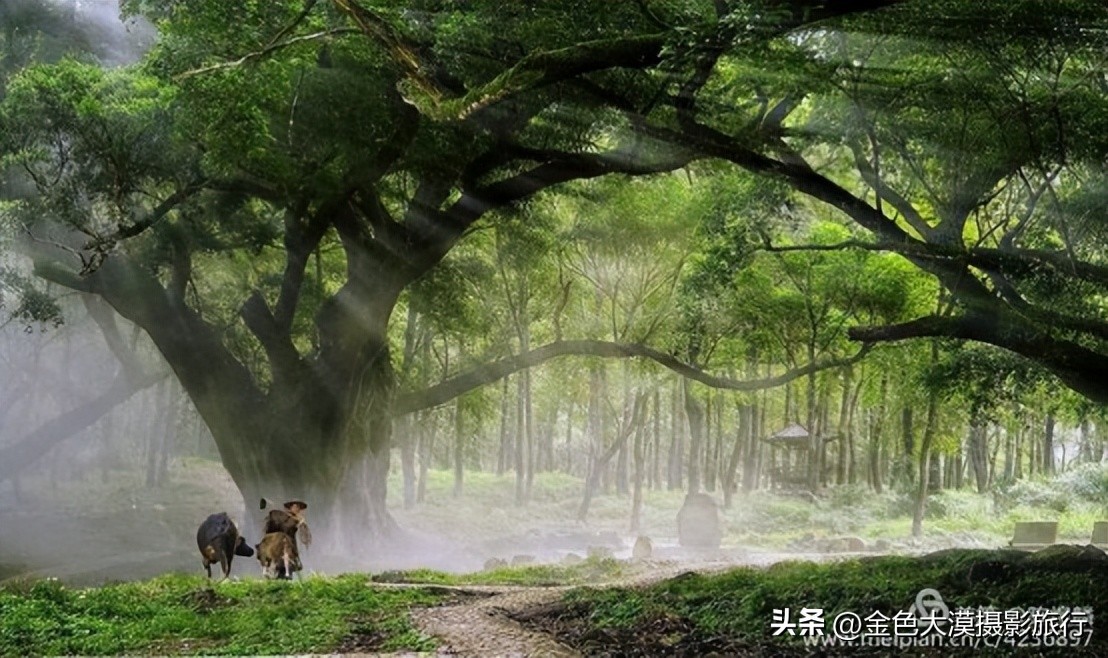 【2023年霞浦摄影团】诗画滩涂·霞浦风光人文5日摄影