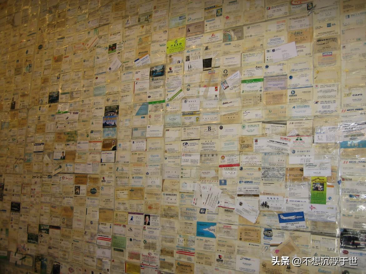 新西兰满街水果,新西兰路边水果图片