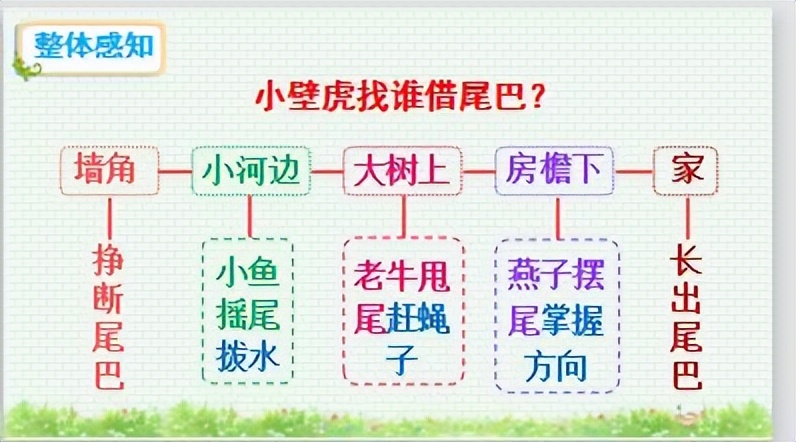 一年级下册语文壁虎借尾巴课件,小壁虎借尾巴一年级下册