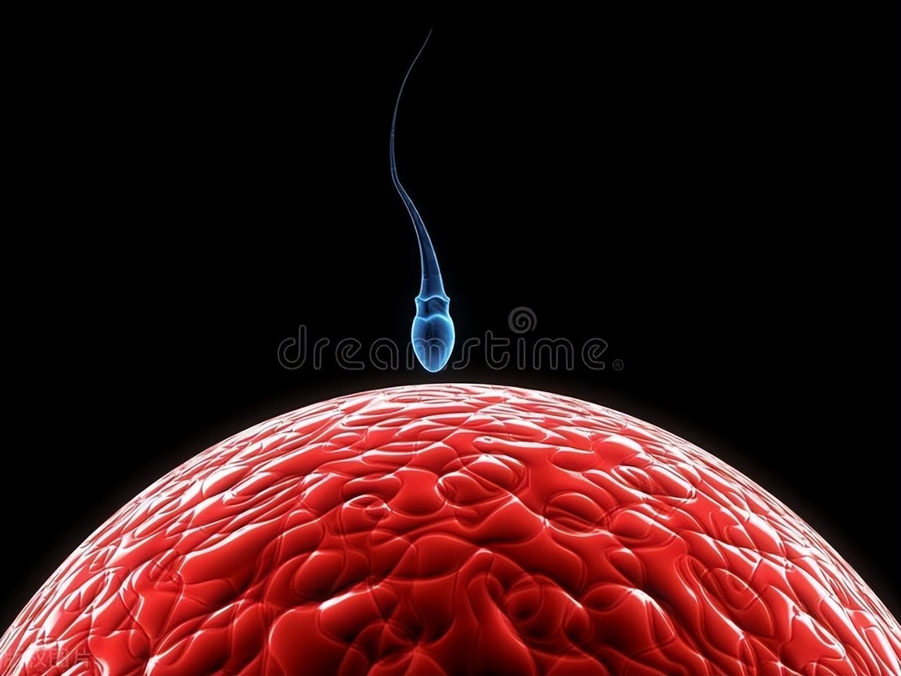 5颗精子4颗不合格？手把手教你拯救生育力！