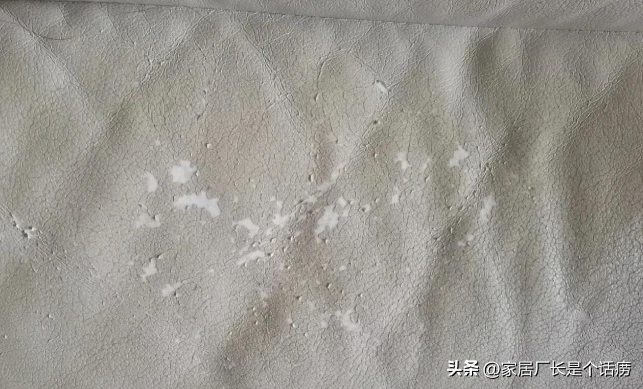 沙发选购攻略这五点一定要看,四个教你选沙发的指南