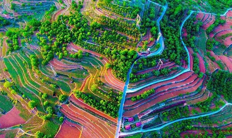 解析全国16个整村运营,解码全国16个整村运营经典案例