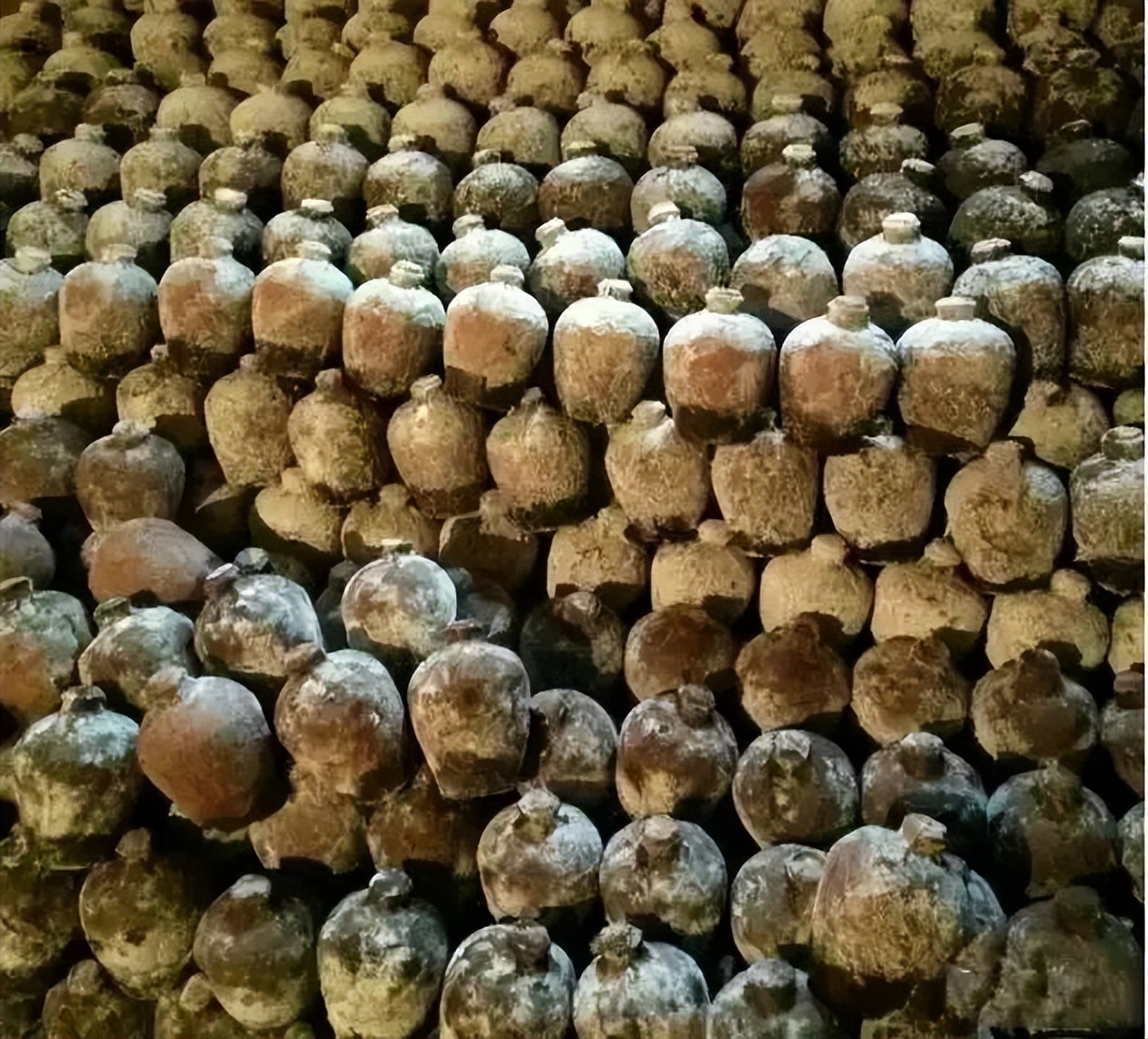 白酒造假现场,白酒假酒的真实视频