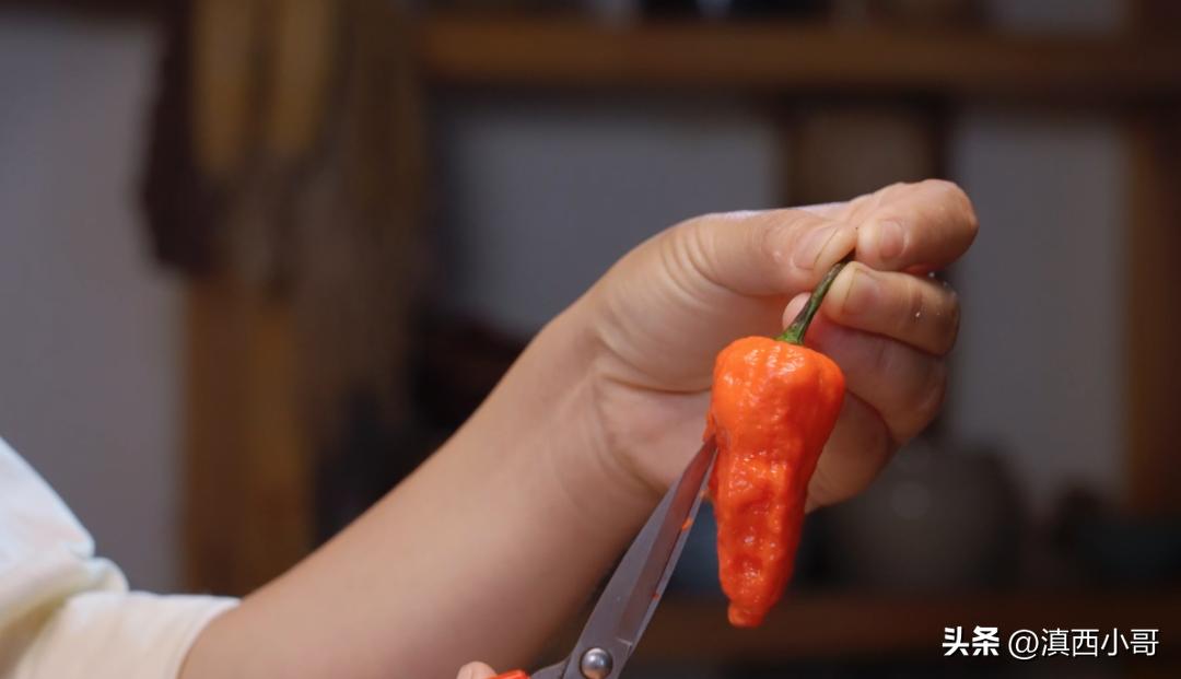 云南烧烤蘸水配方,作者大鱼大肉的免费作品