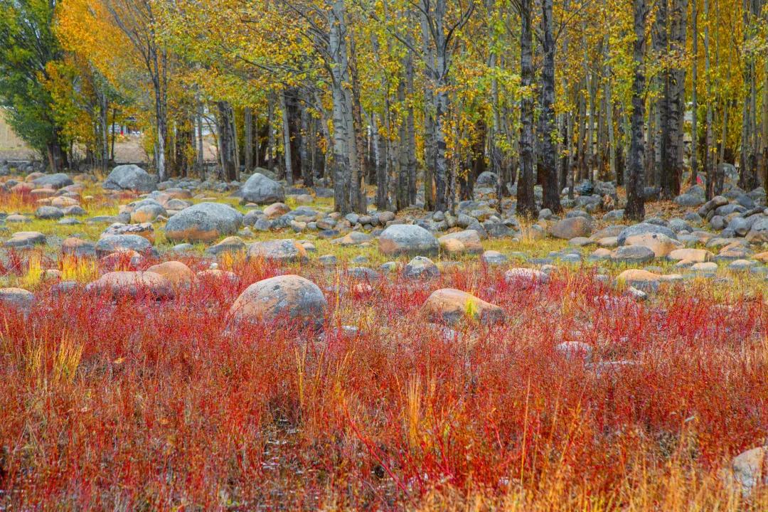 318最美川藏线之海螺沟冰川公园,稻城亚丁和泸沽湖旅游攻略