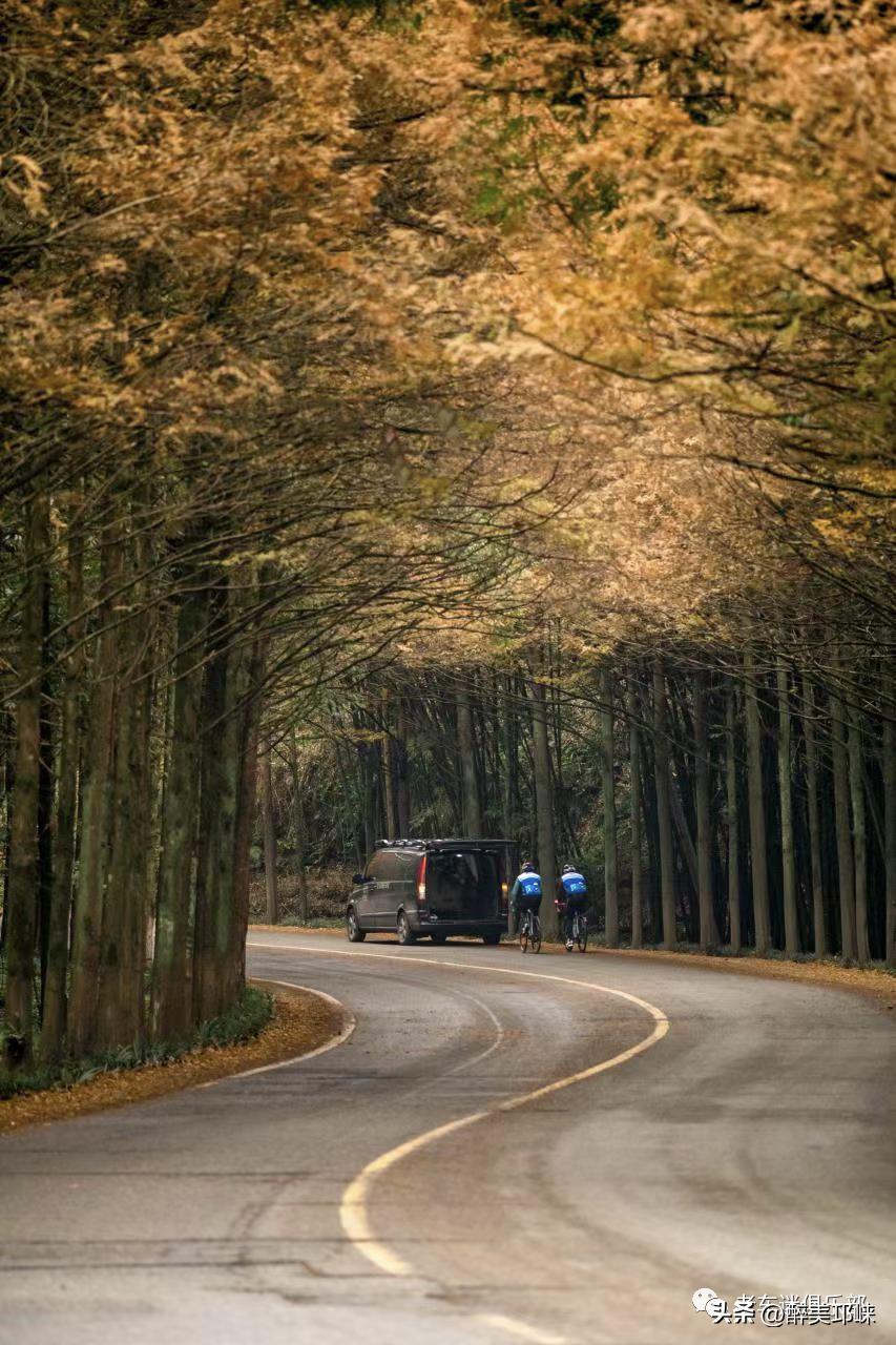 本届世界杯精彩的比赛,本届世界杯比赛