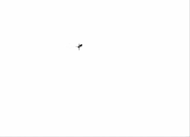 图形之美数学,图形之美的感悟