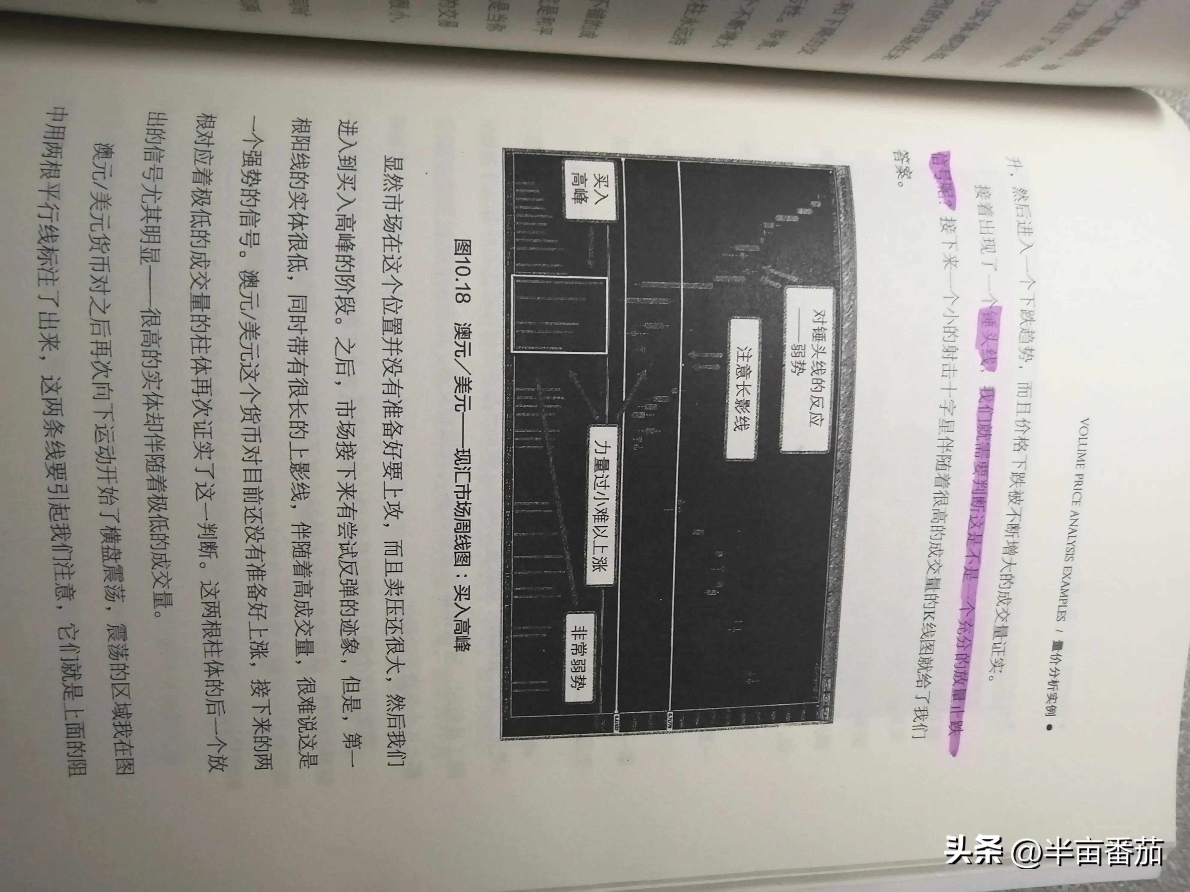 阅读量分析的几个方面,阅读量整体数据