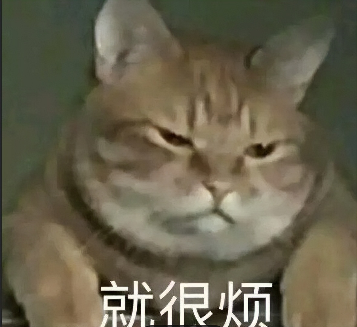 海量曲库免费听免费唱,免费音乐试听平台