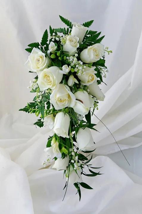 求婚送什么颜色的玫瑰花比较合适,玫瑰花的外形特点和颜色的特点