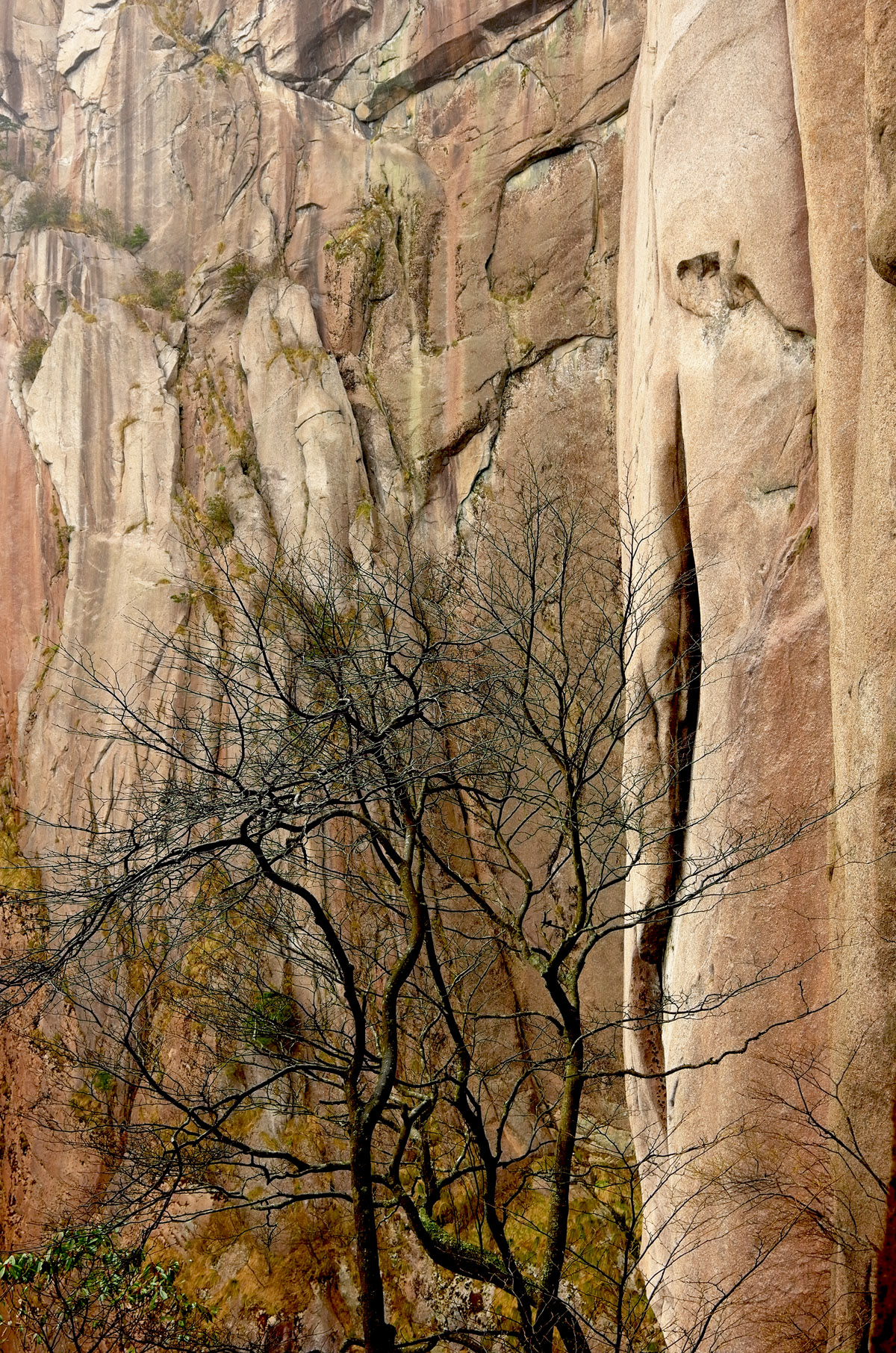 黄山慈光阁到玉屏楼步行多久,爬黄山从慈光阁开始的攻略