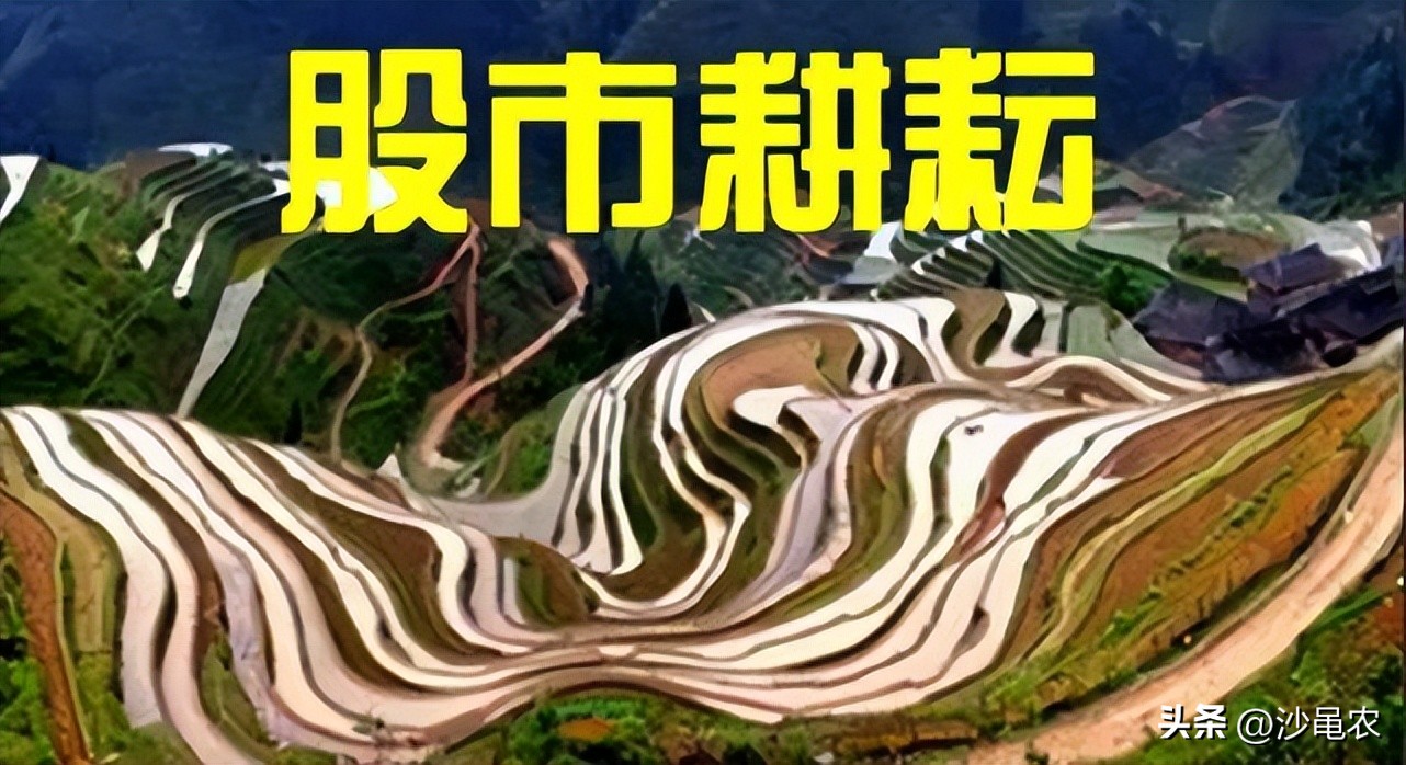 股市八连阳明天的走势,股市八连涨怎么回事