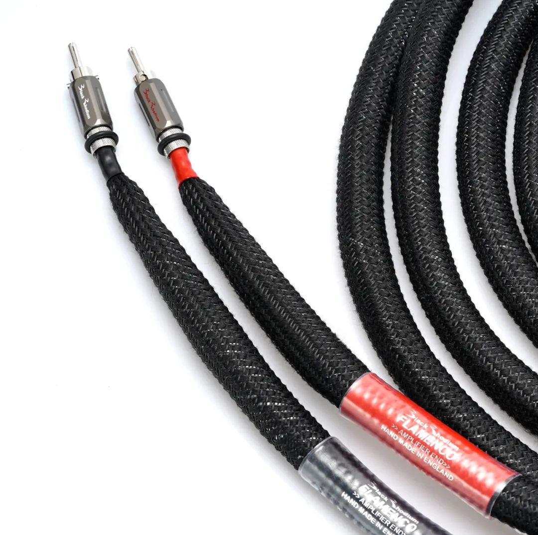 令人匪夷所思的英国BlackRhodium黑金线